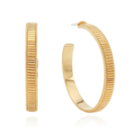 Large Ribbed Hoop Earrings - Gold