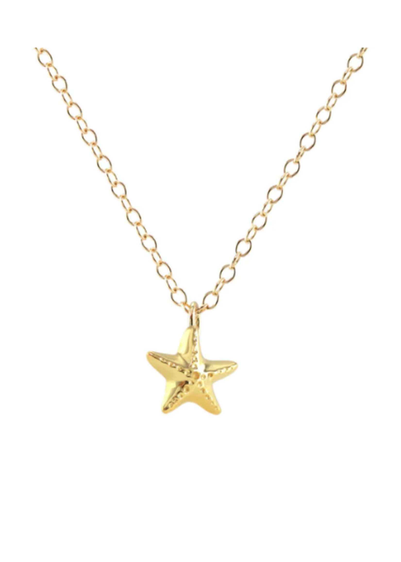 Starfish Necklace