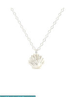 Seashell Necklace