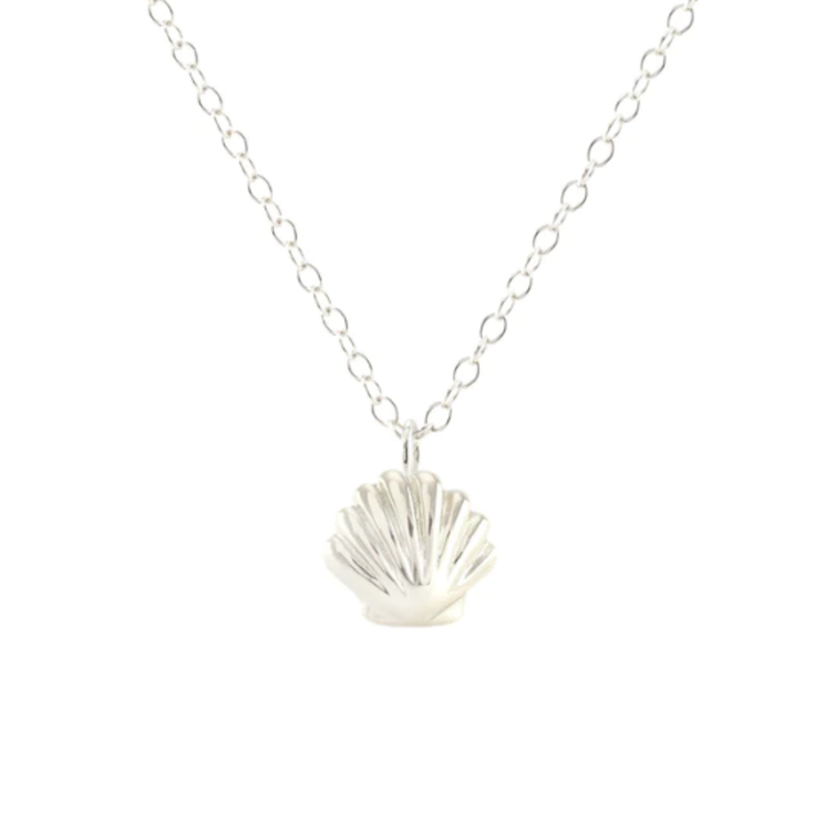 Seashell Necklace