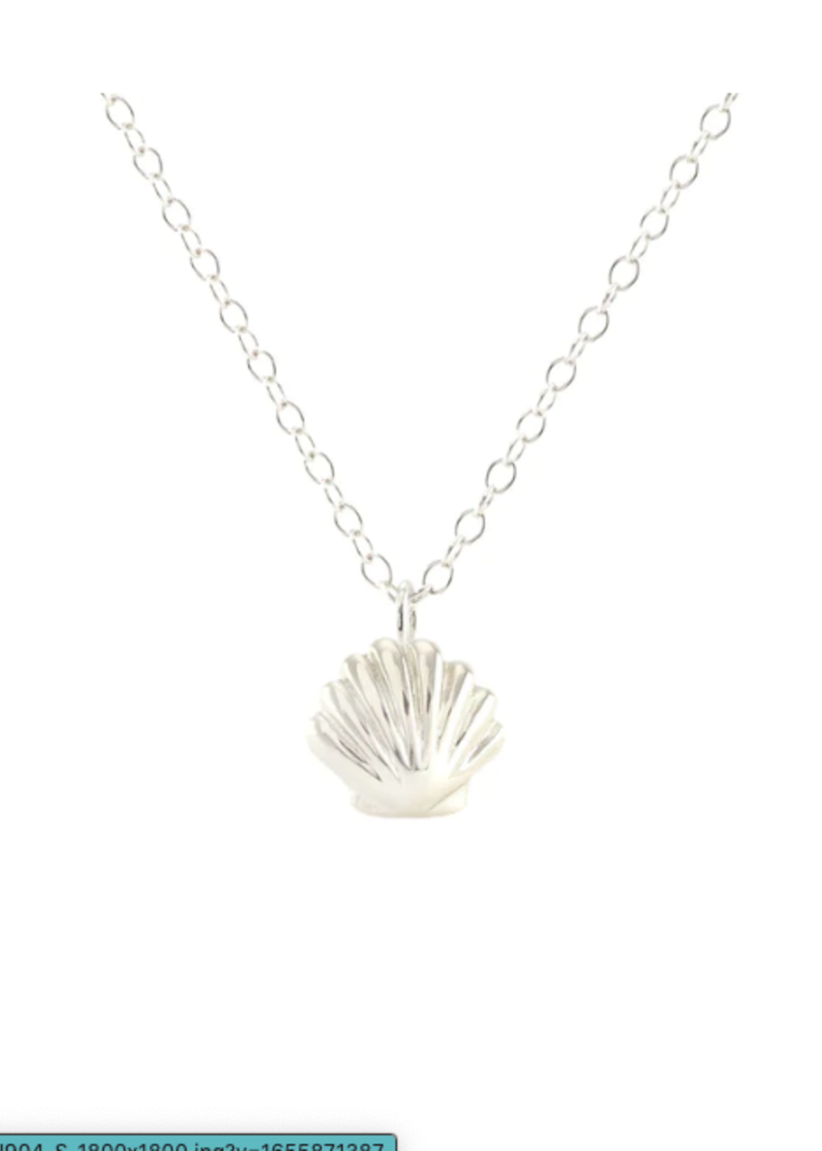Seashell Necklace