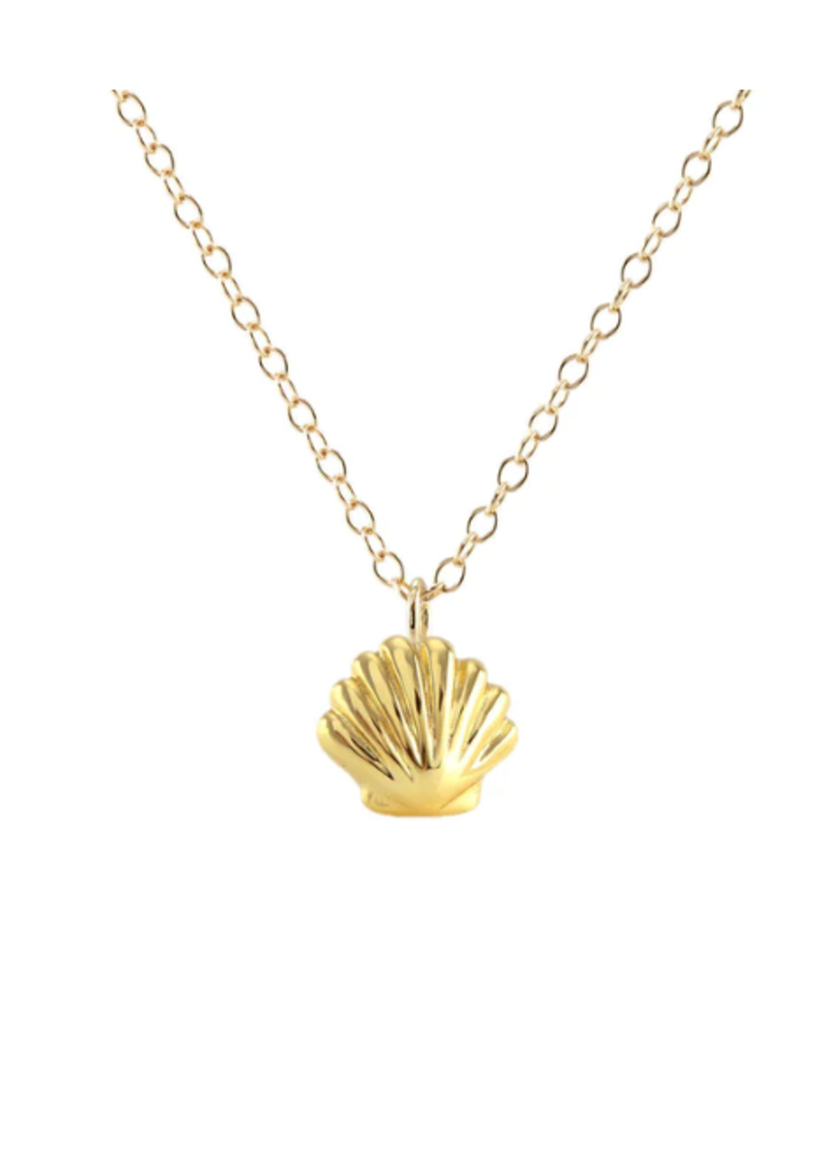 Seashell Necklace