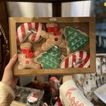 Christmas Cookie Dog Toy Set