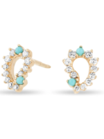 Turquoise and Diamond Paisley Posts- Y14