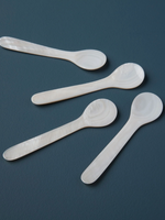 Large Sea Shell Spoon