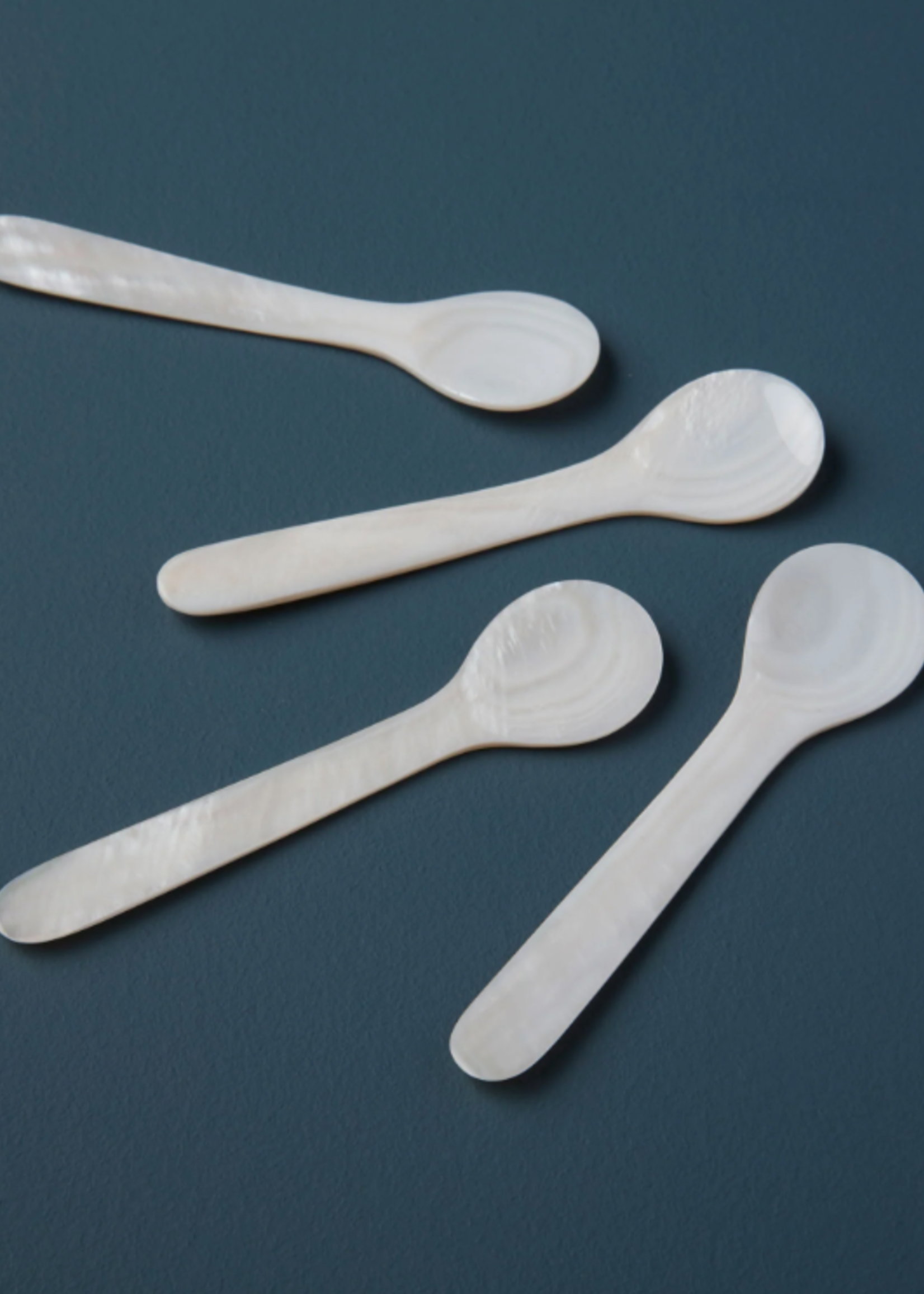 Large Sea Shell Spoon