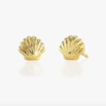 Seashell Stud Earrings