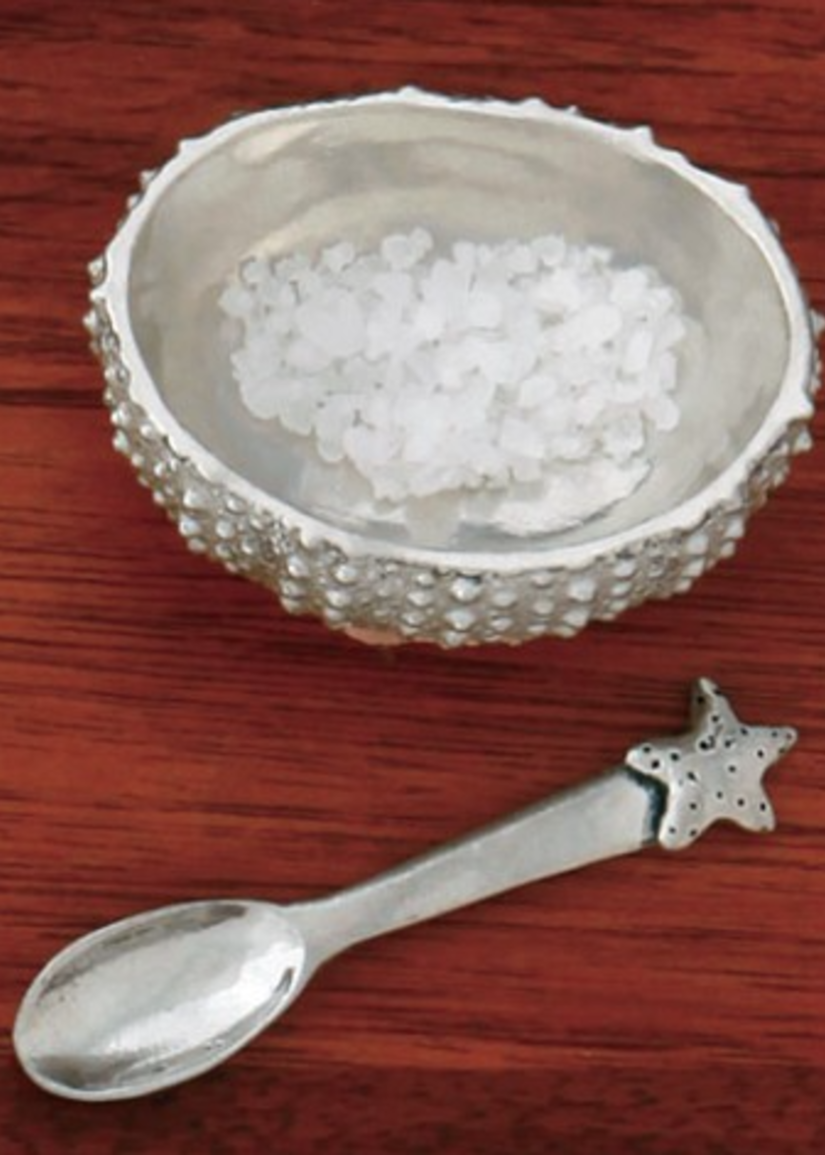 Sea Urchin Salt Cellar w/ Spoon