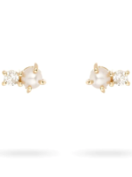 Pearl + Diamond Amigos Posts -Y14