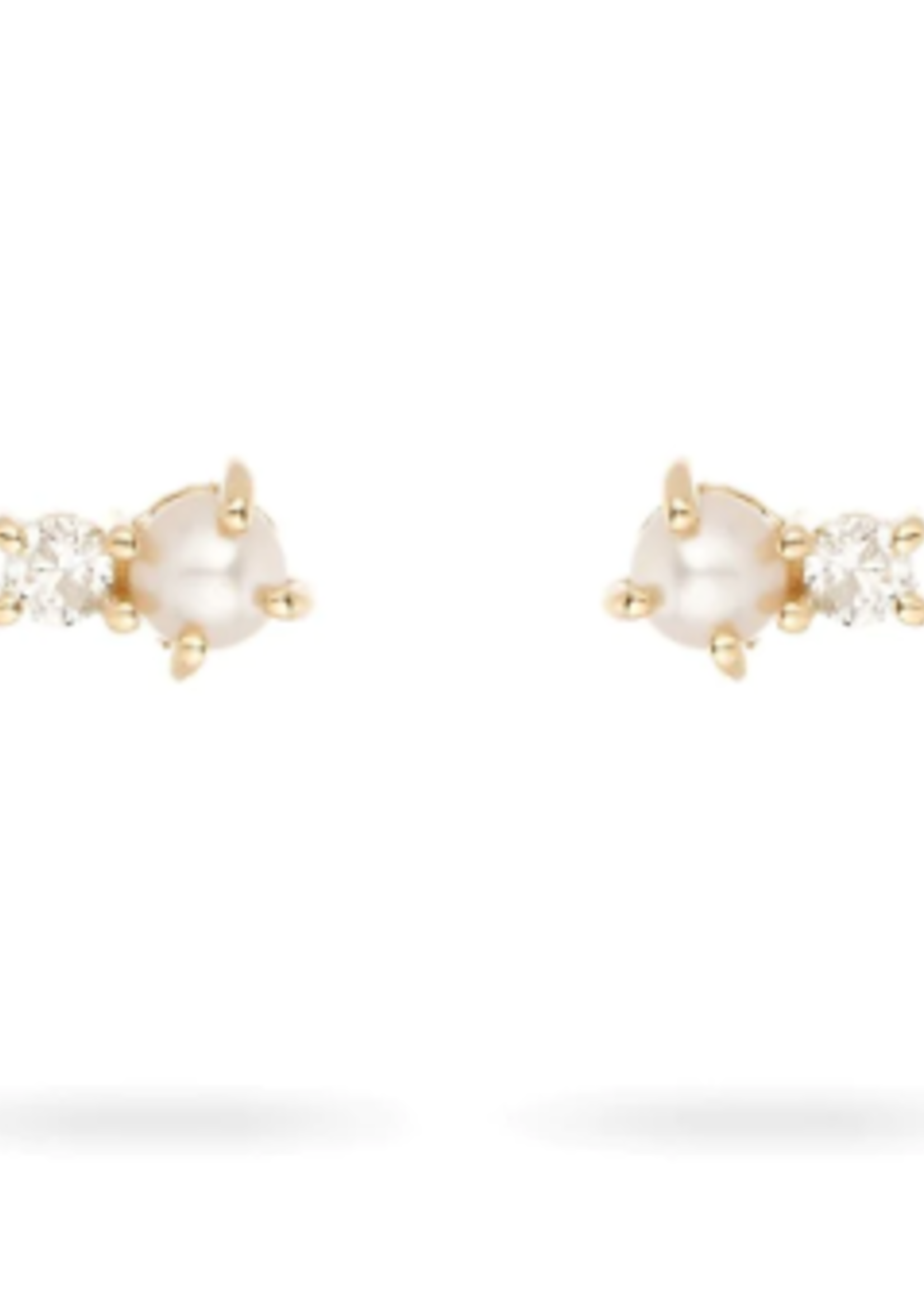 Pearl + Diamond Amigos Posts -Y14
