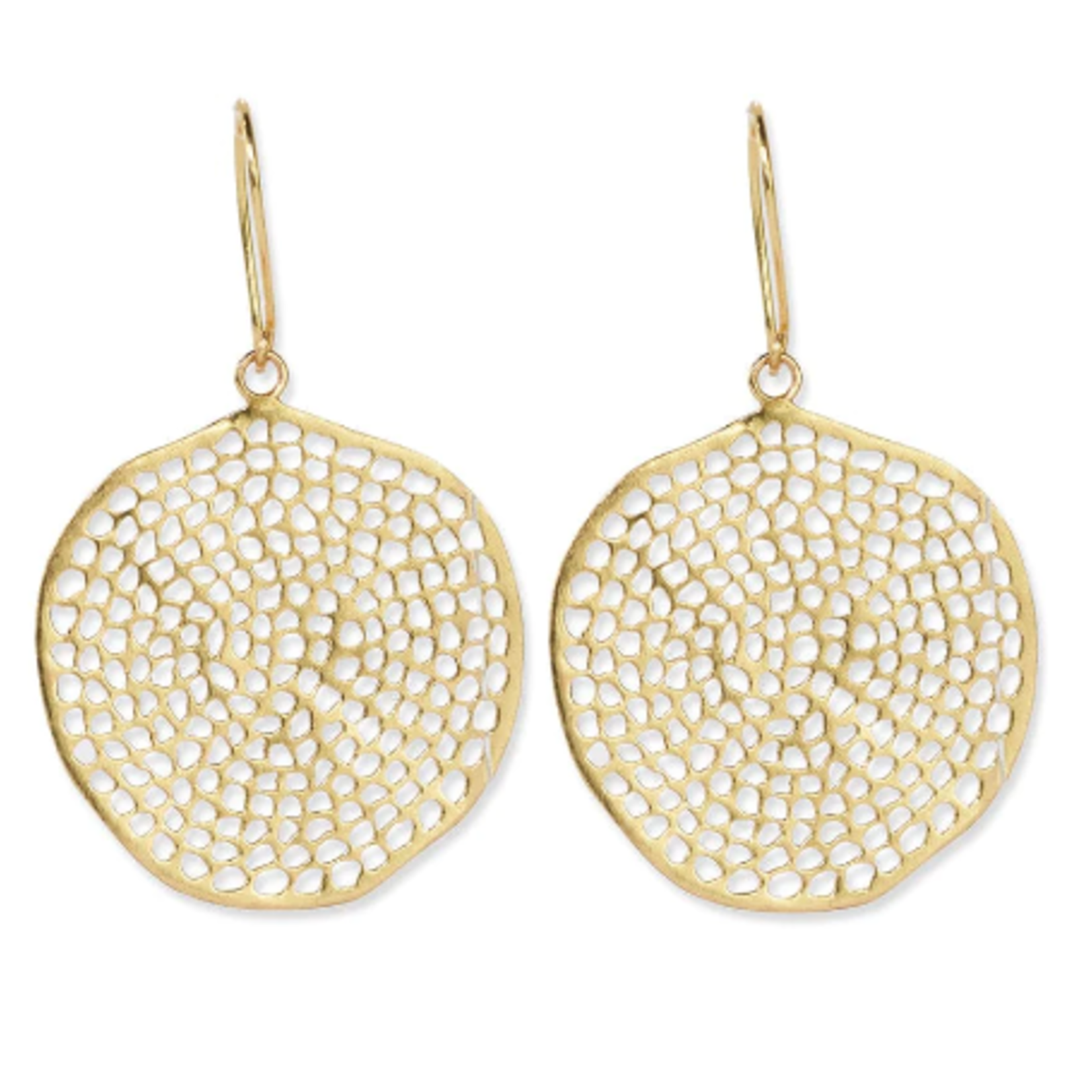 Gretchen Brass Large Circle Hole Earrings