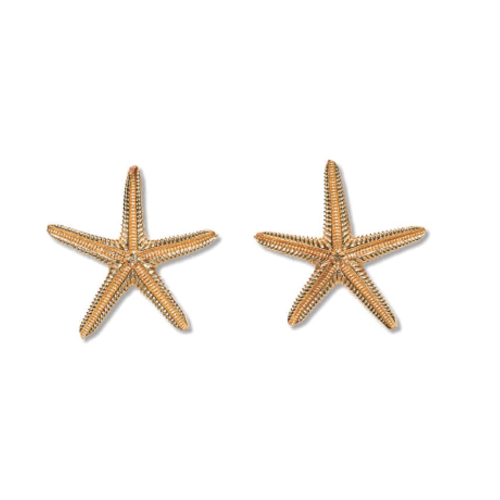 Sienna Brass Starfish Post Earrings