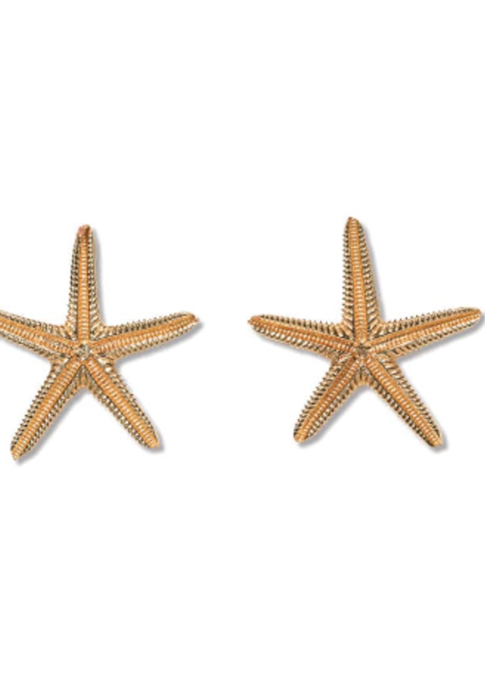 Sienna Brass Starfish Post Earrings