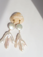 Reef Earrings
