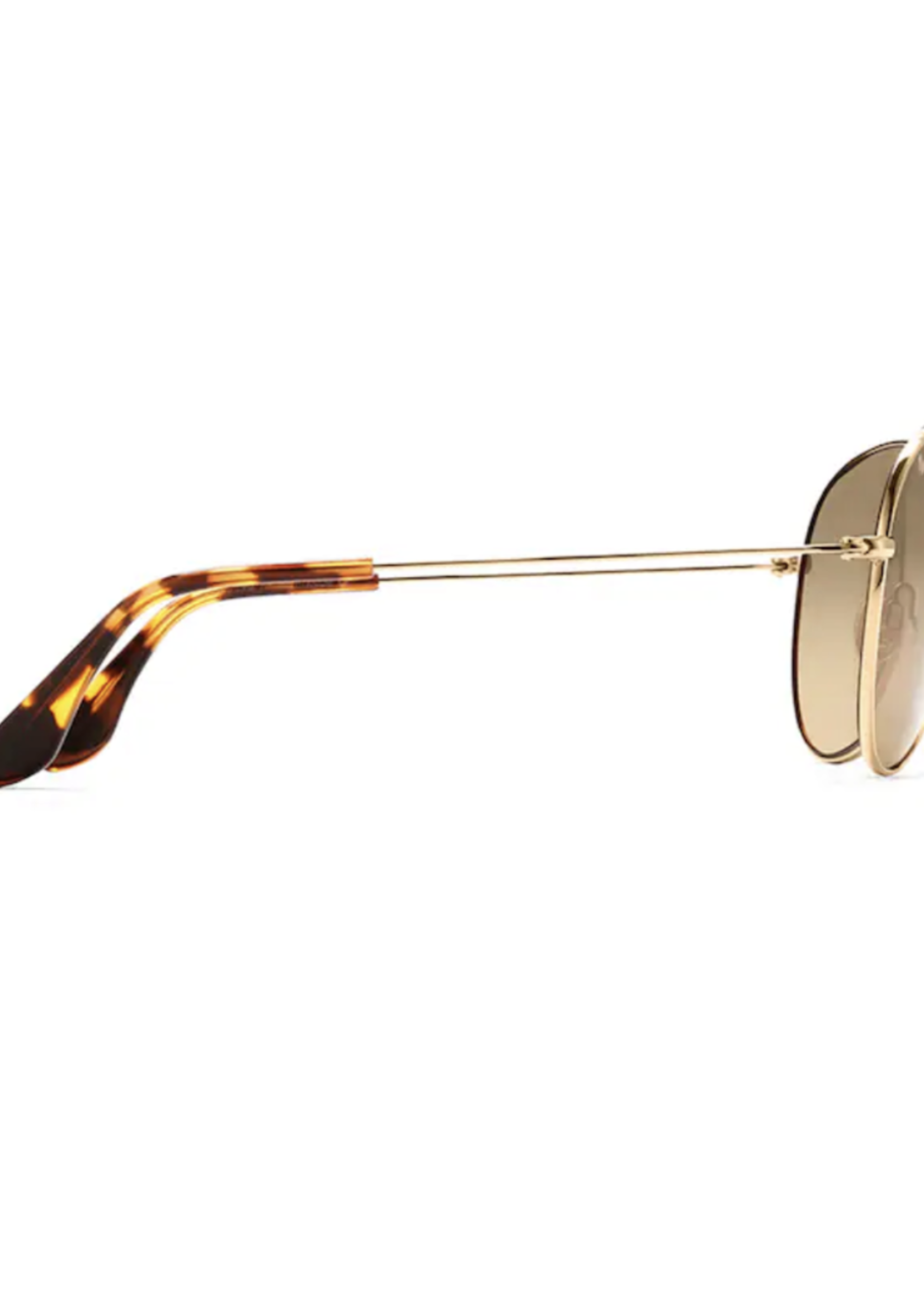 Sunglasses & Readers HCL Mavericks Gold