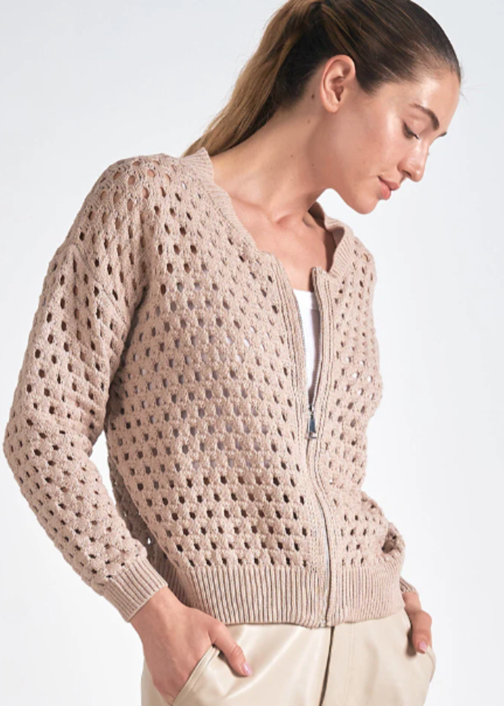 Aster Cardi