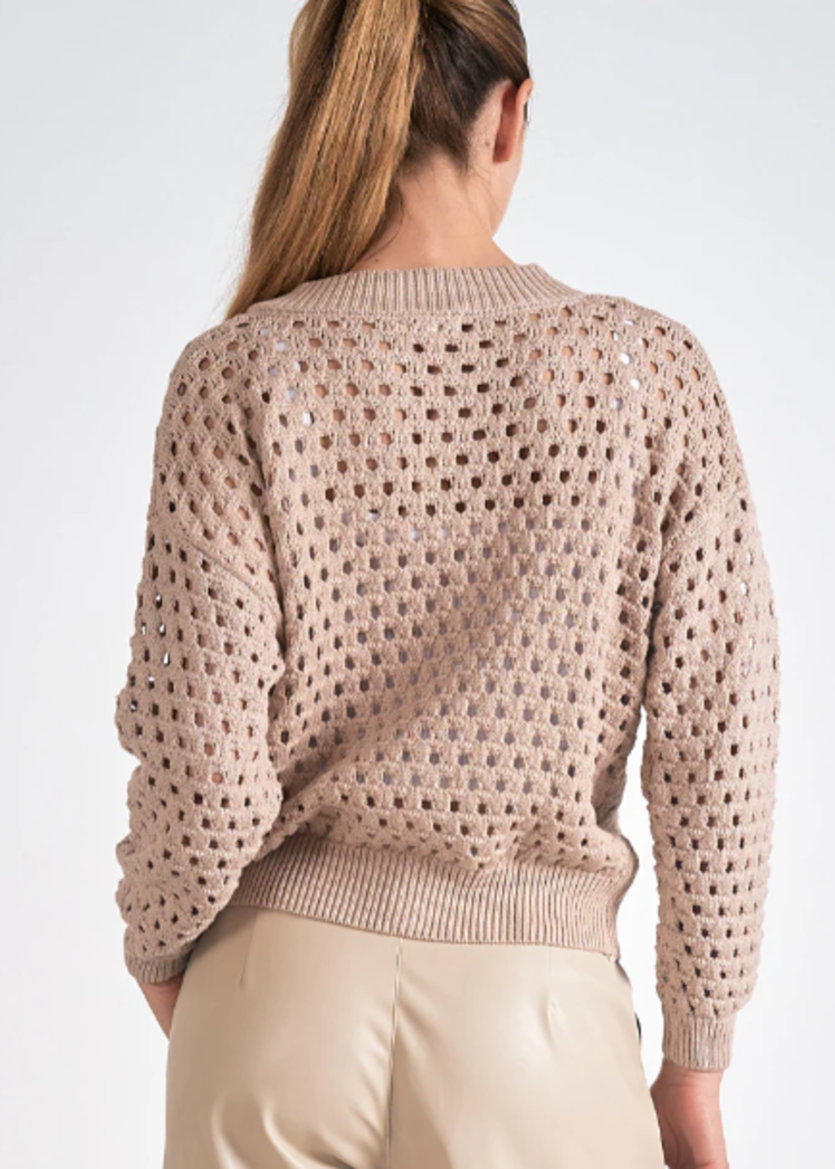 Aster Cardi