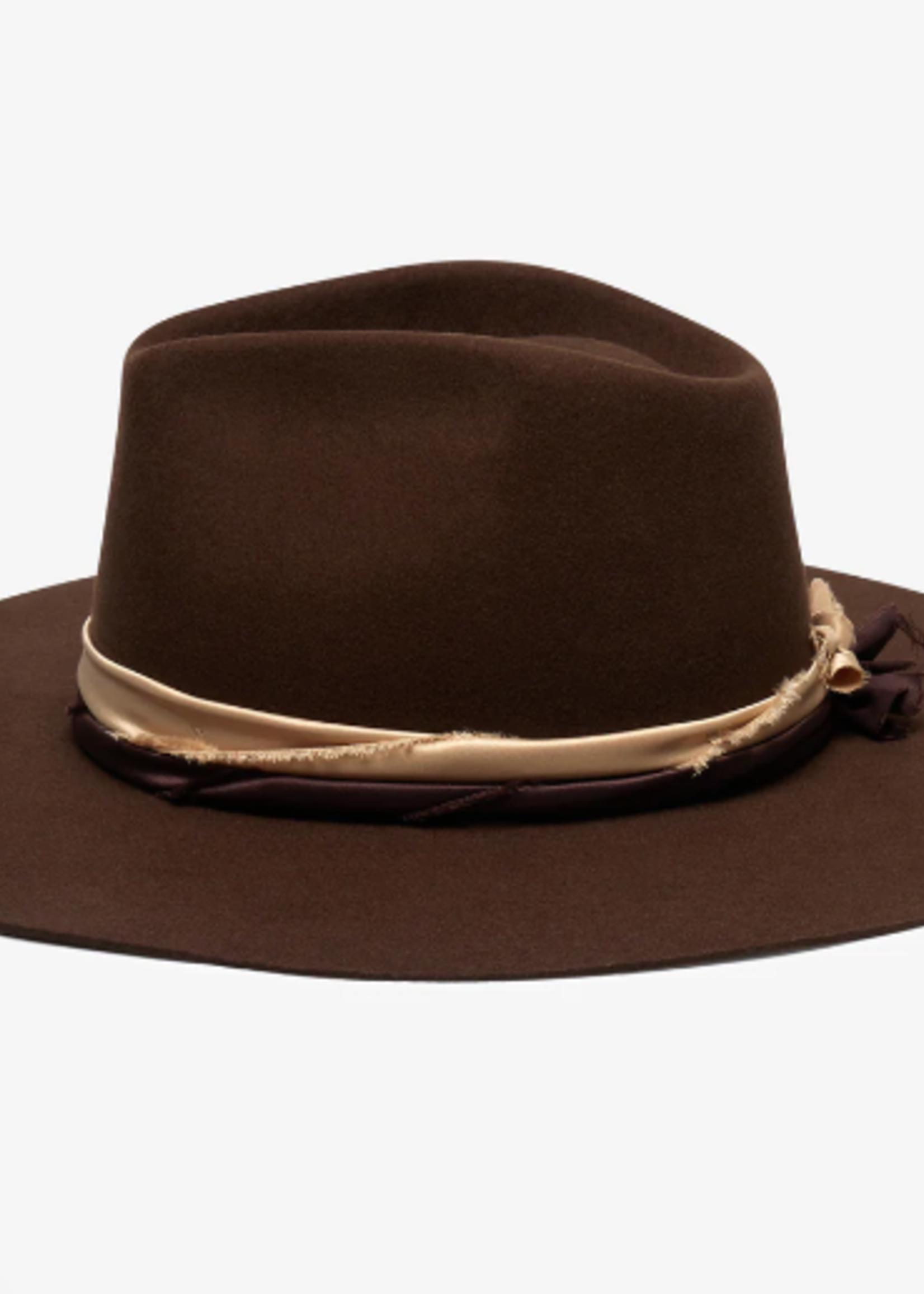 Austin in Brown