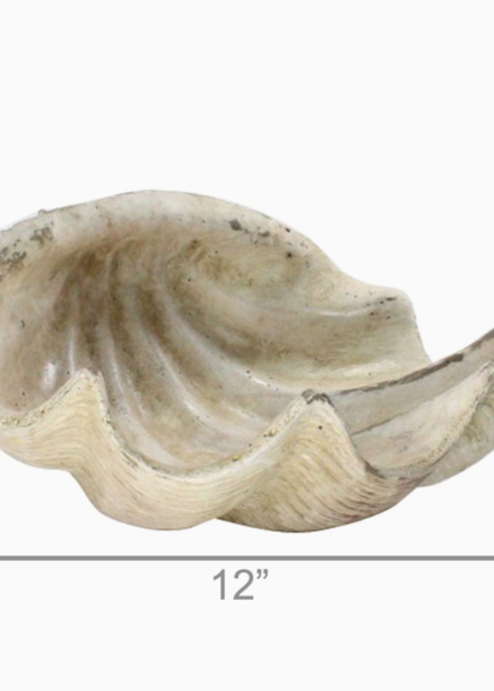 Cement Cast Clam Shell - Antique White