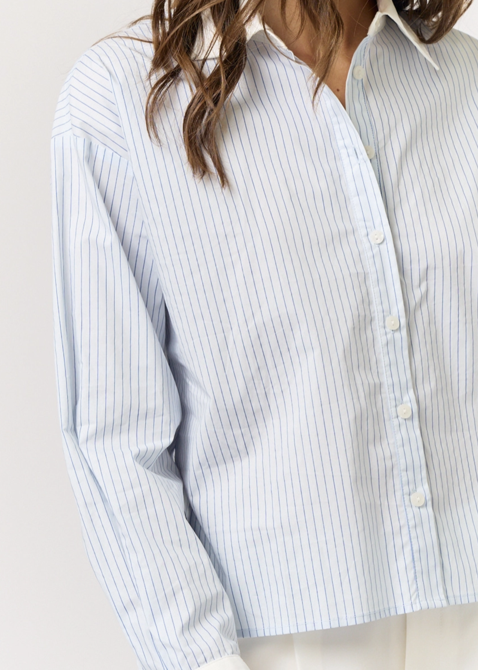 Stripe Button Down Contrast Collar & Cuff Shirt