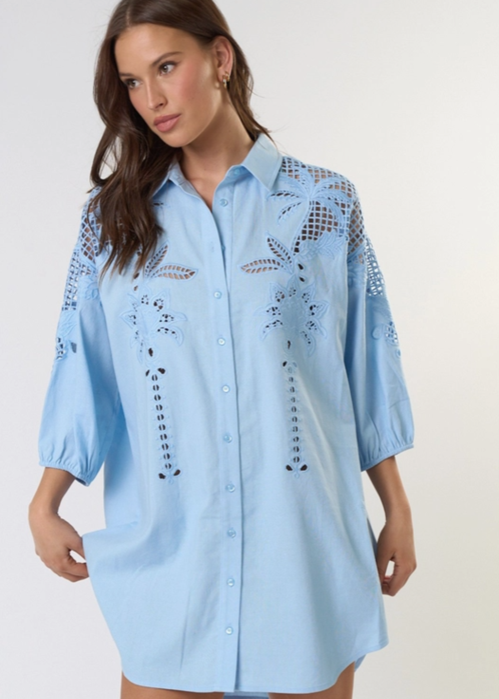 Puff Sleeve Embroidered Button Down Shirt Dress