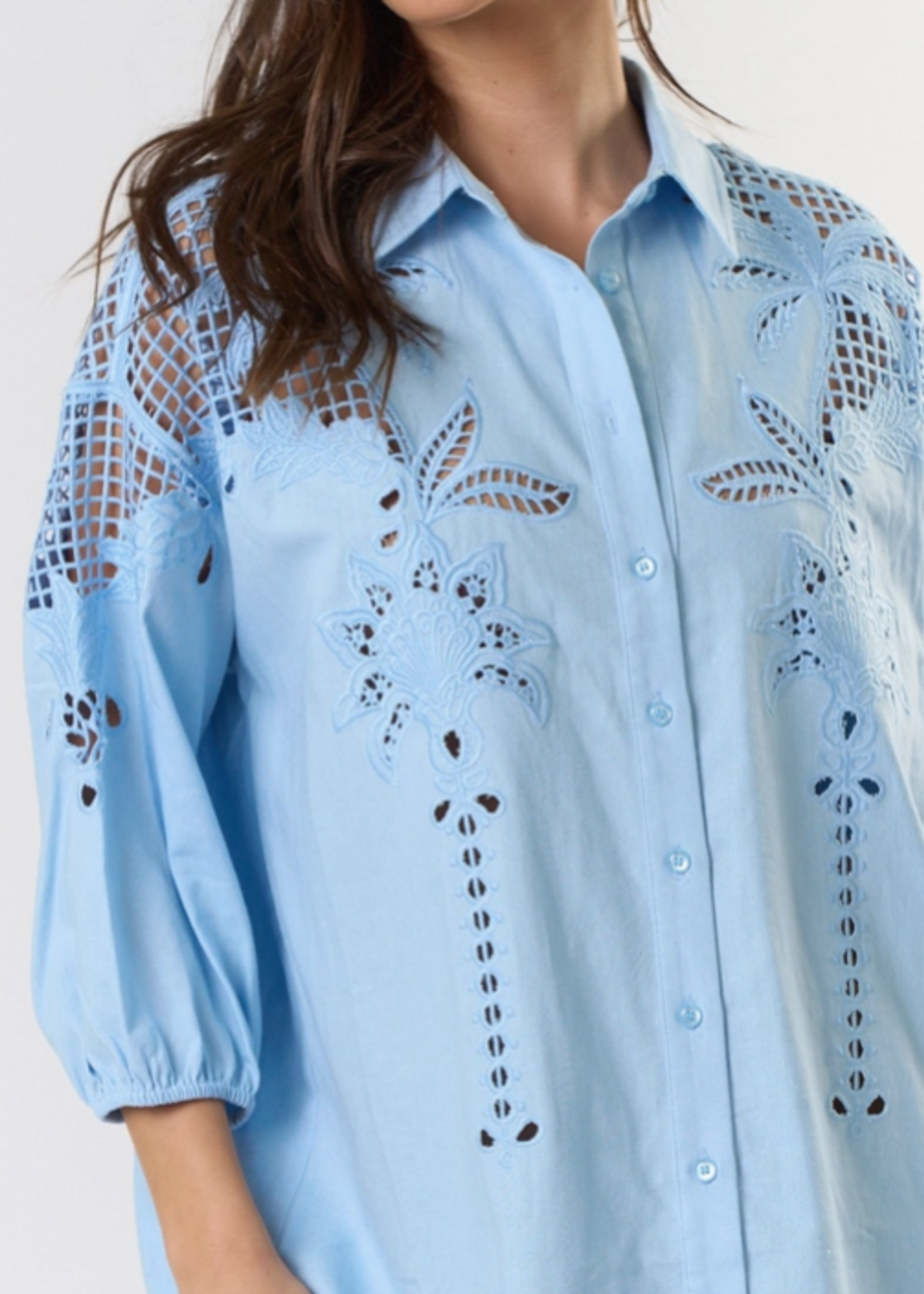 Puff Sleeve Embroidered Button Down Shirt Dress