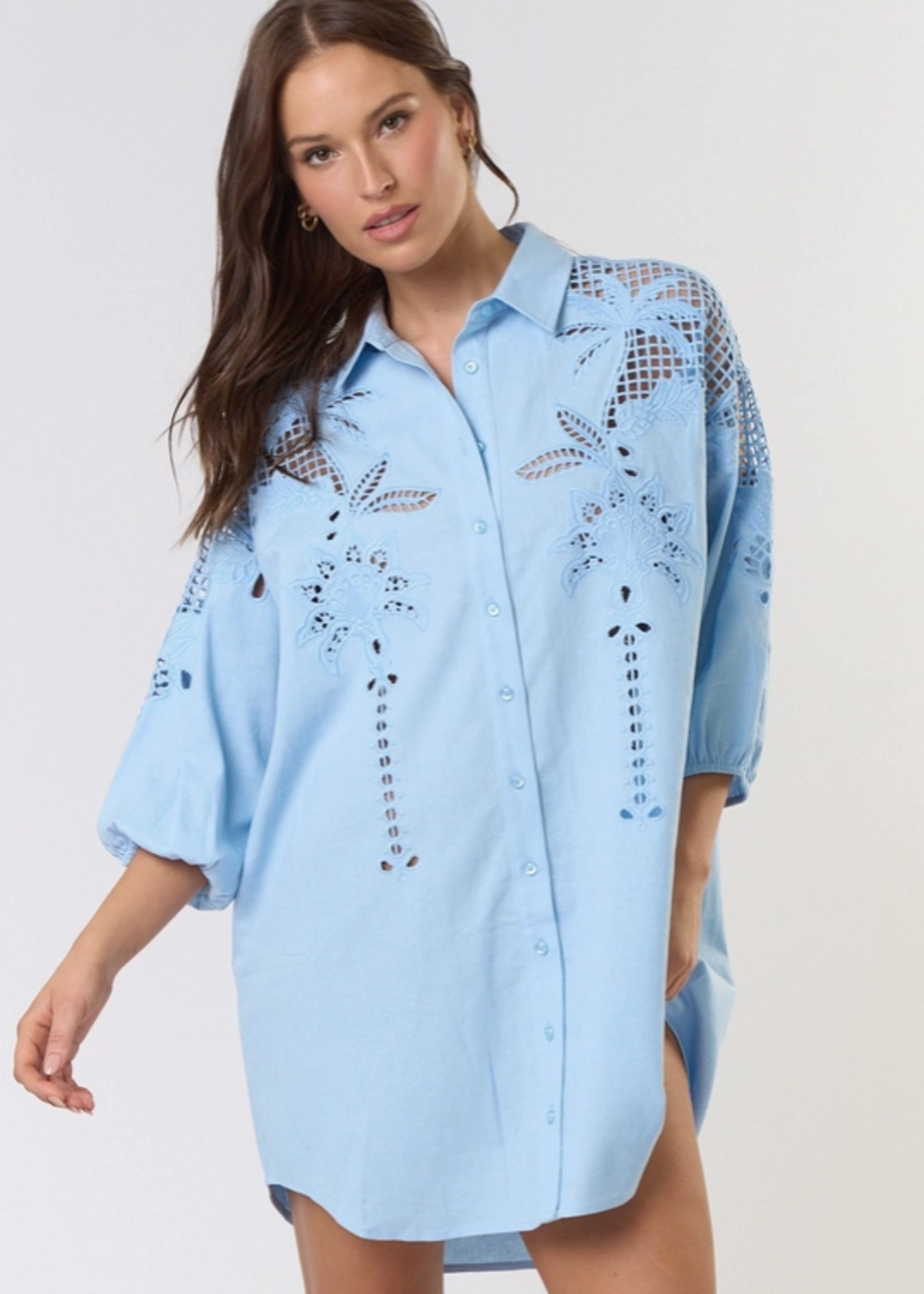 Puff Sleeve Embroidered Button Down Shirt Dress