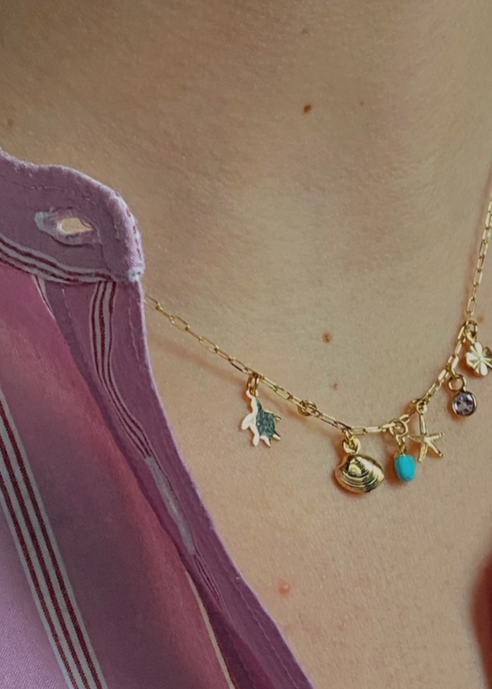Necklace Ally Gold Plated Chain with Charms