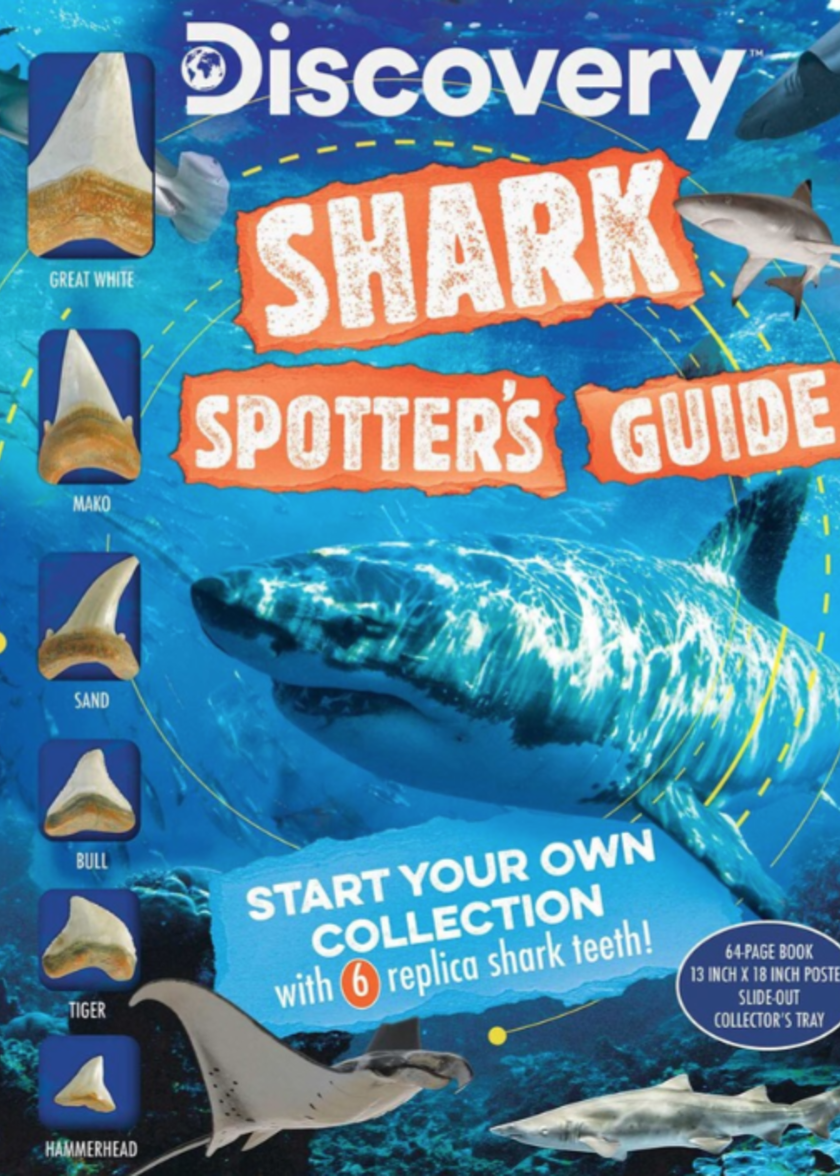 Discovery: Shark Spotter's Guide