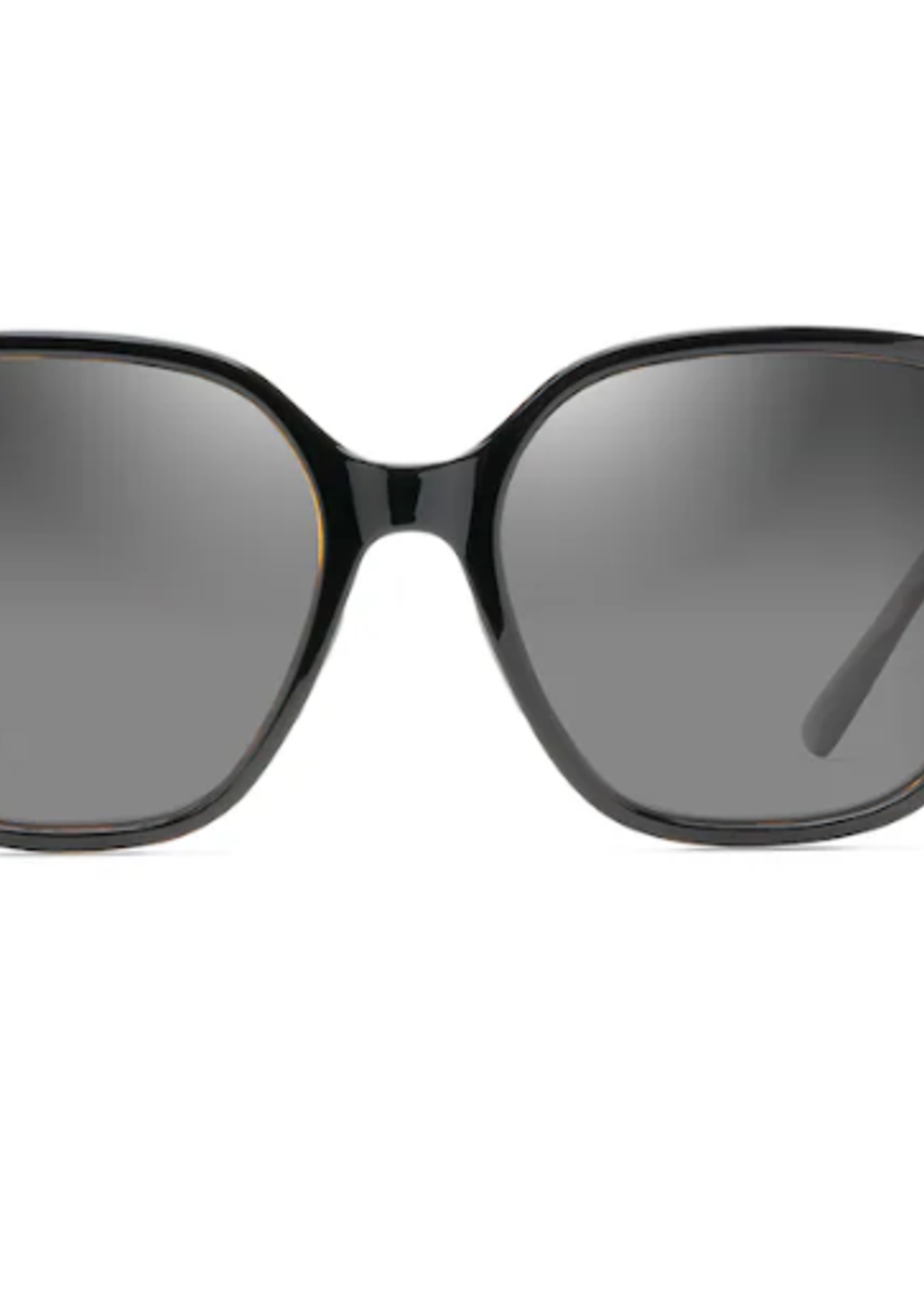 Good Fun Black with Tortoise
