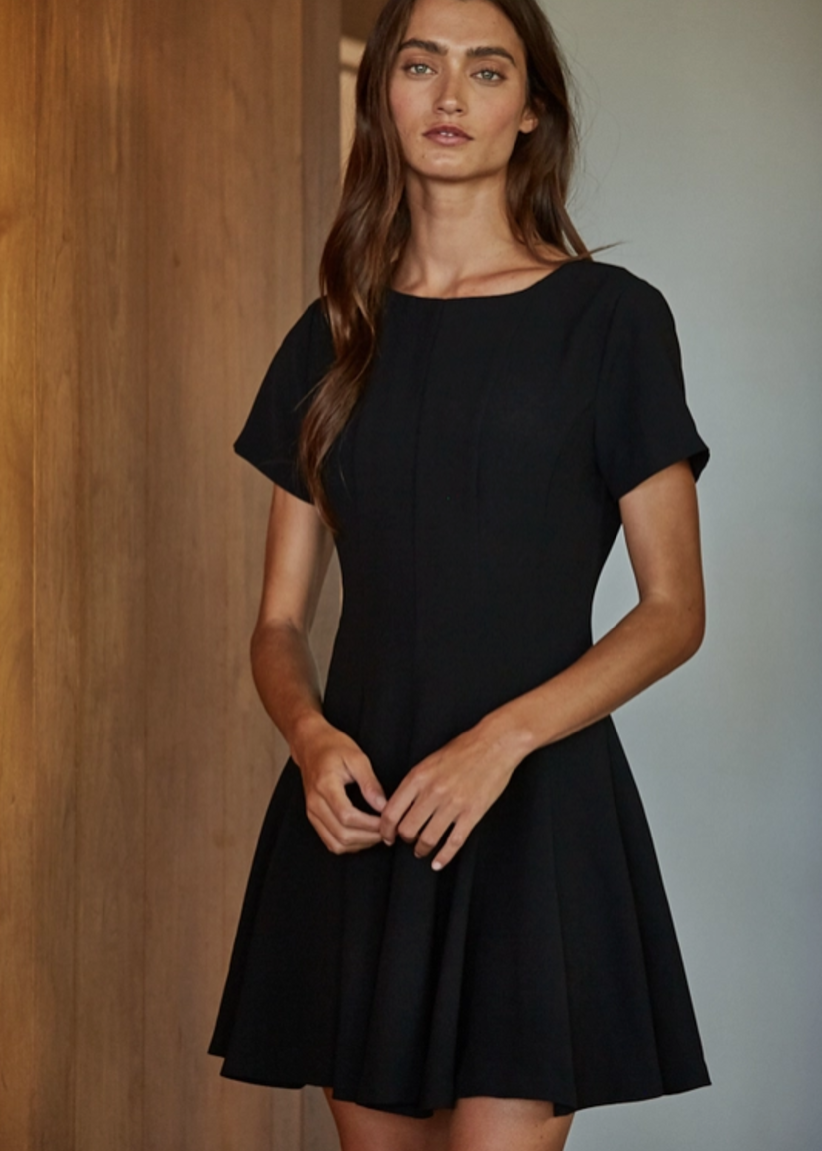 Short Sleeve Flare Mini