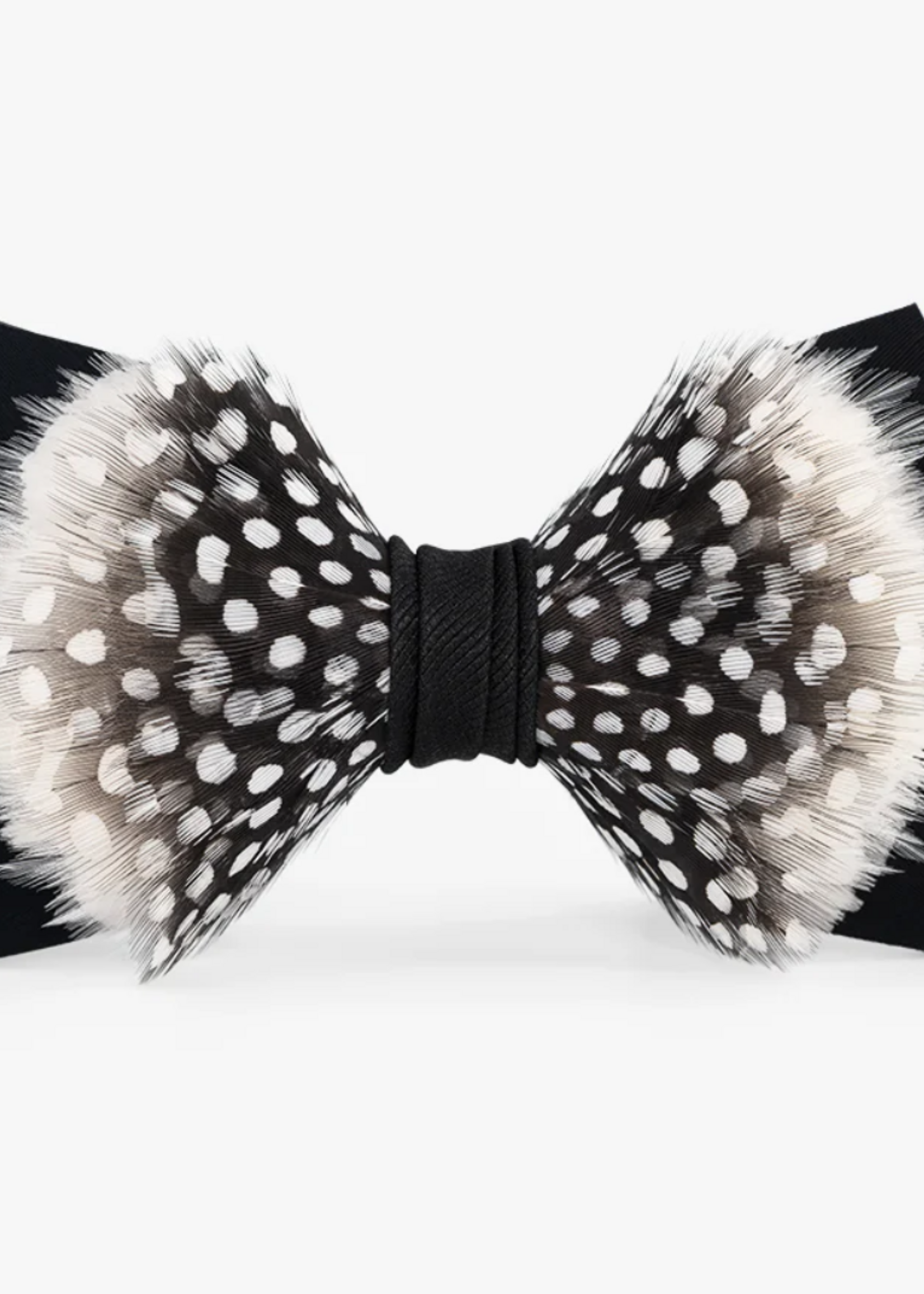Drifter Bow Tie 70