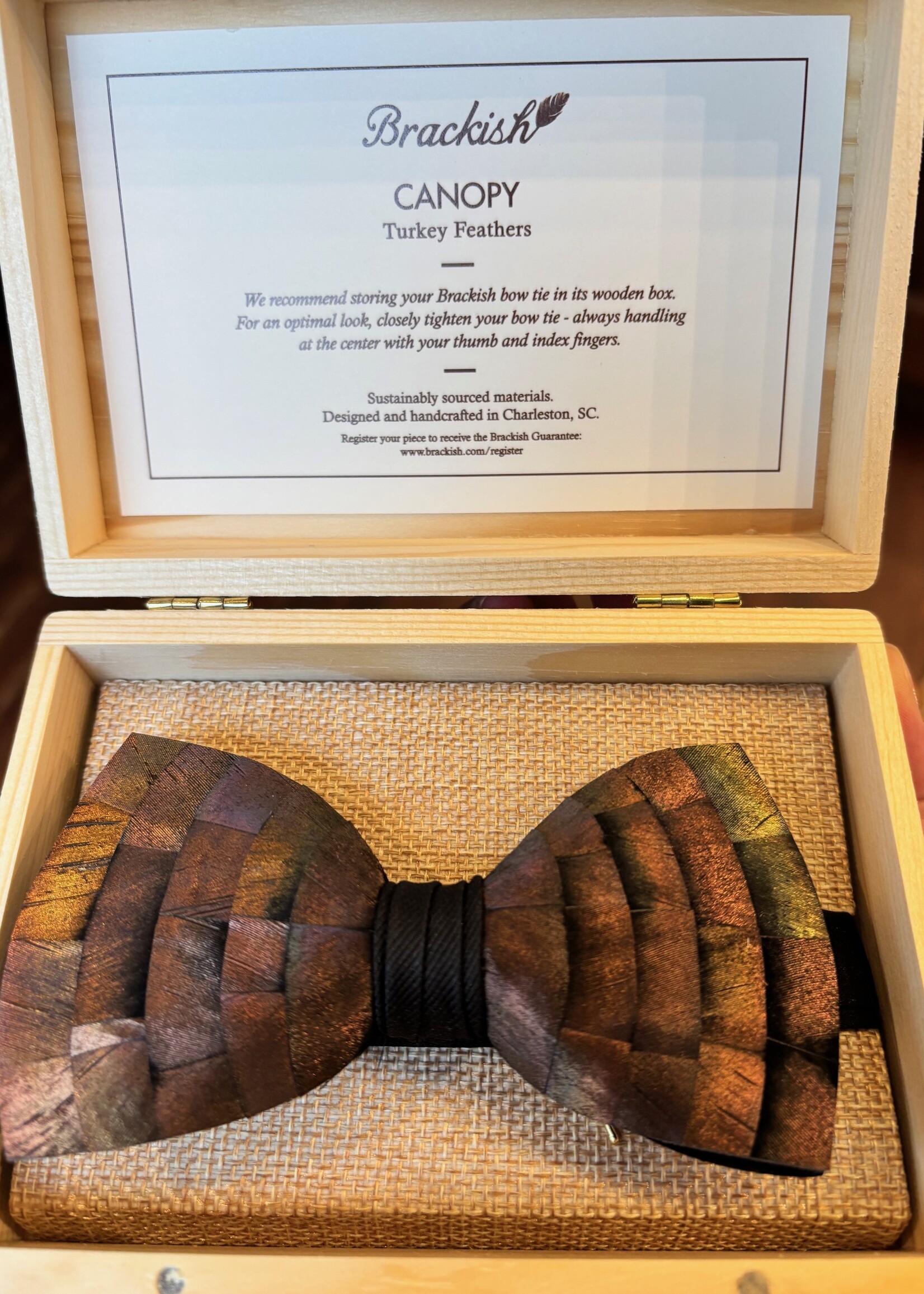 Canopy Bow Tie 72