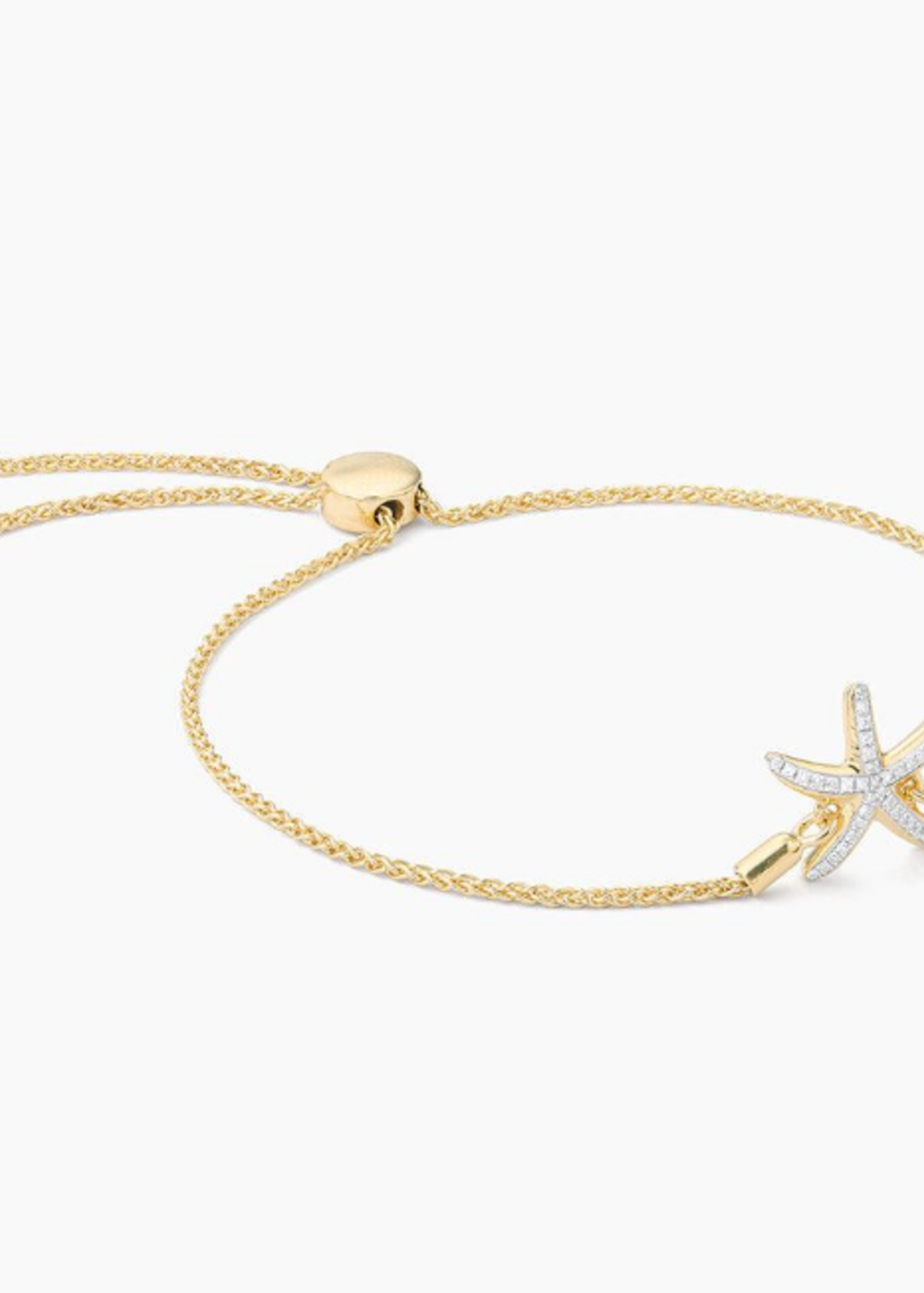 Starfish Bolo Bracelet 14k Gold Plated