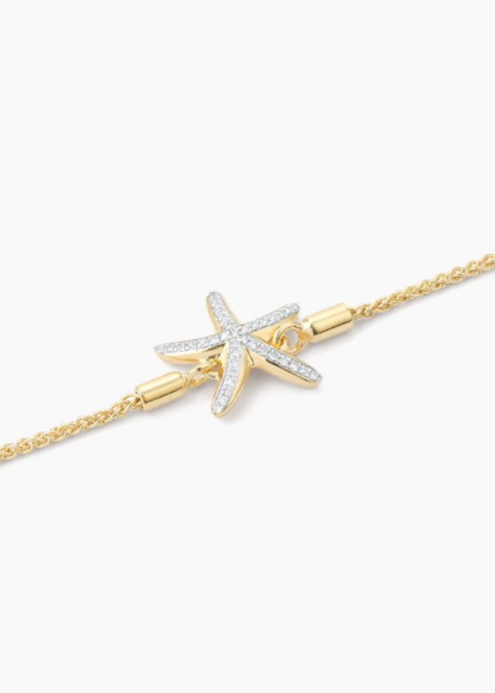 Starfish Bolo Bracelet 14k Gold Plated