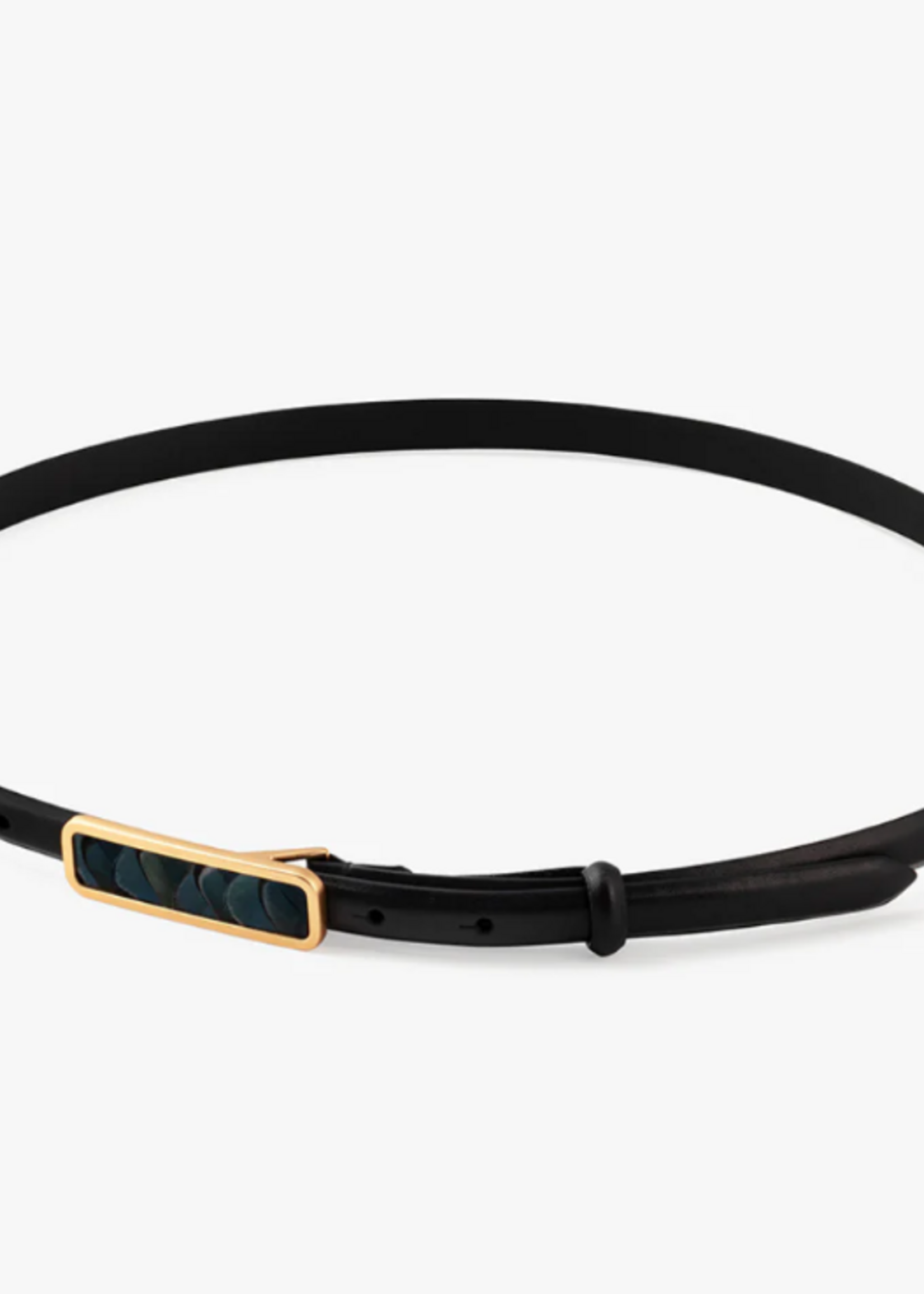 ACE Basin Abby Belt: Black, Navy Lady, Small