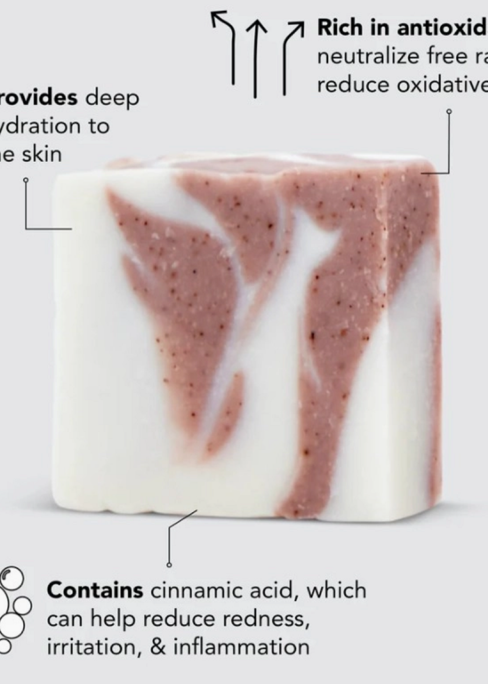 Shea Butter Exfoliating Body Wash