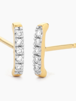 Ama Stud Earrings 14kt Gold Plated