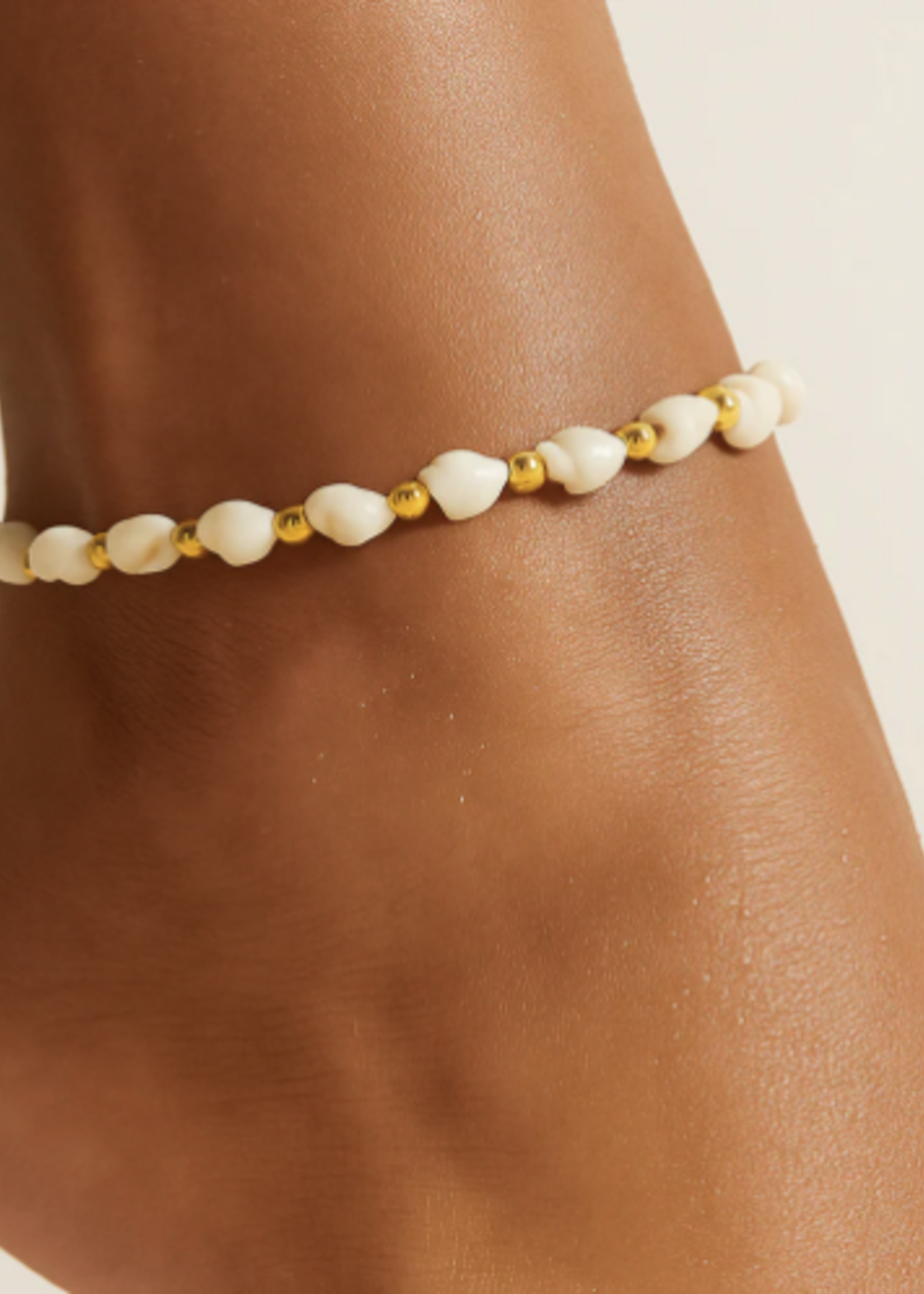 Regis Shell Anklet