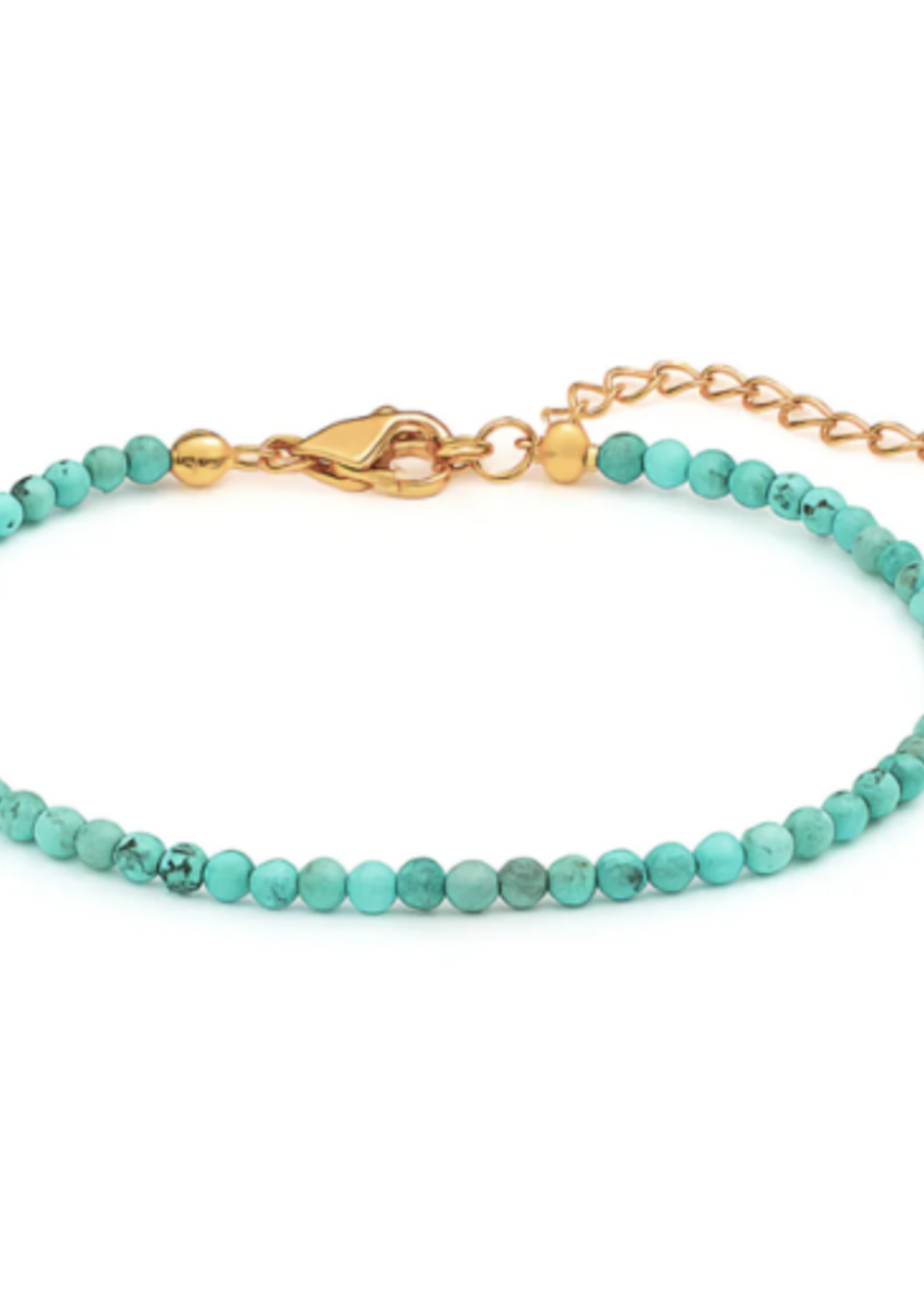 Sander Turquoise Beaded Anklet