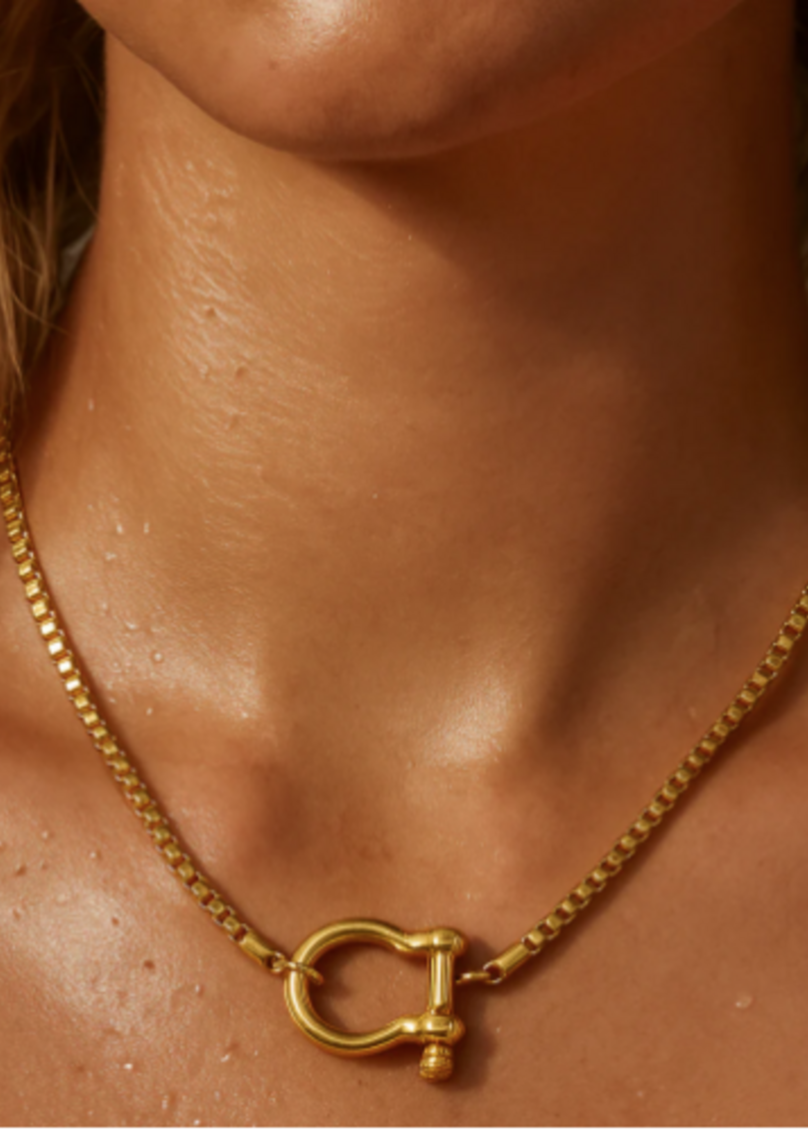 Clarkson Shackle Necklace