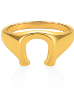 Chance Horseshoe Ring Size 6