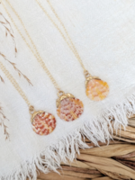 14k Gold Dipped Calico Scallop Shell Necklace