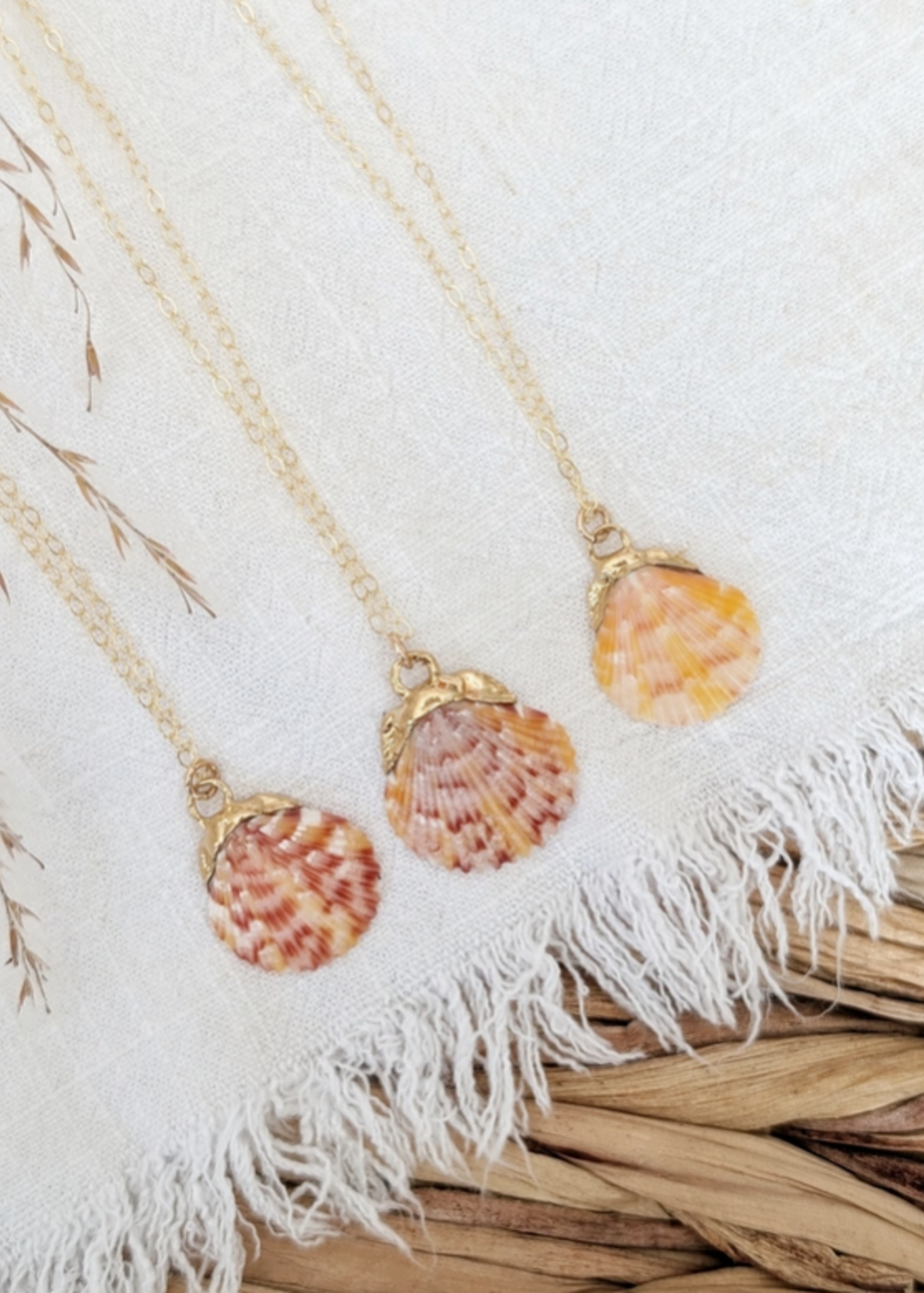 14k Gold Dipped Calico Scallop Shell Necklace