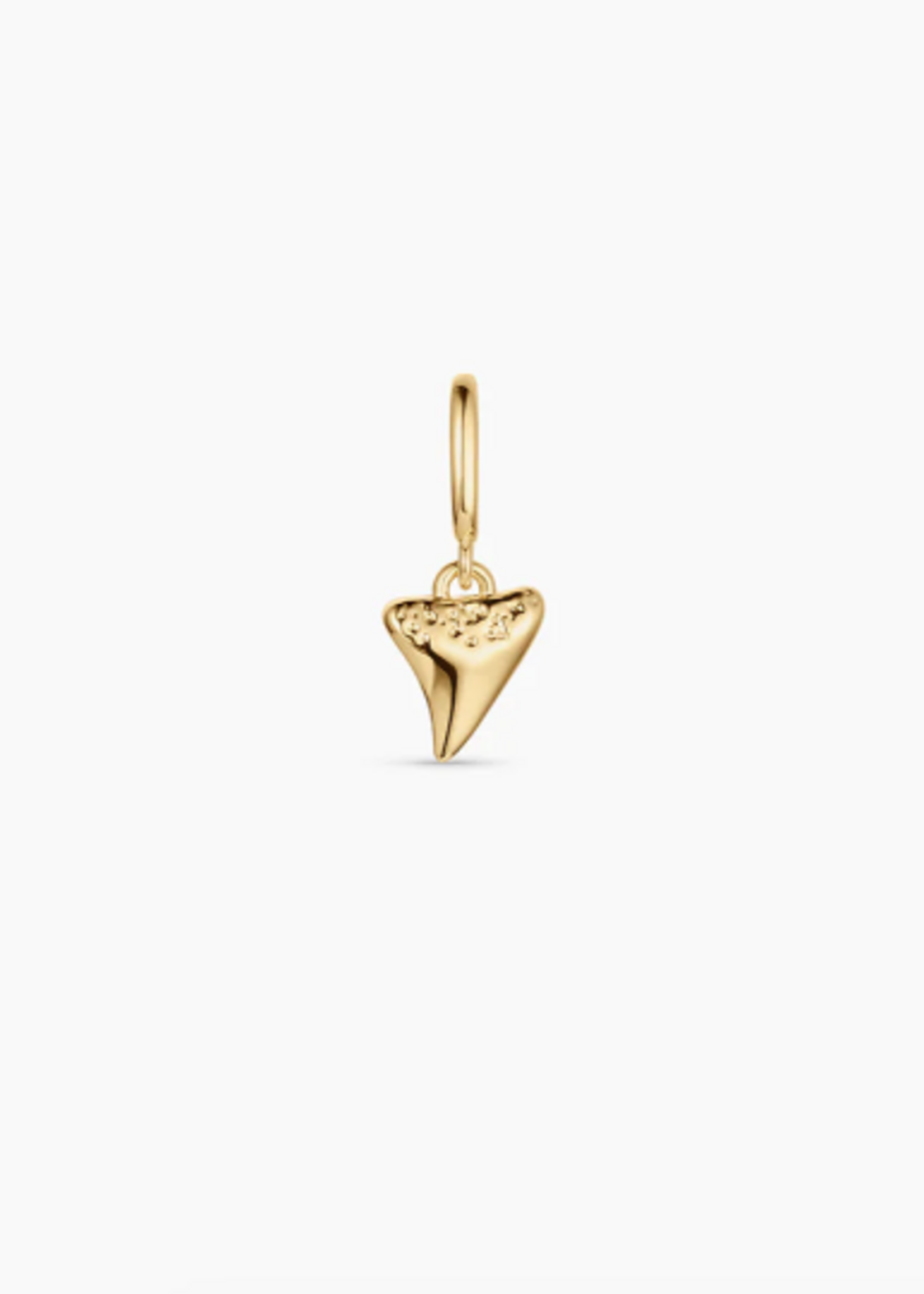 Parker Charm