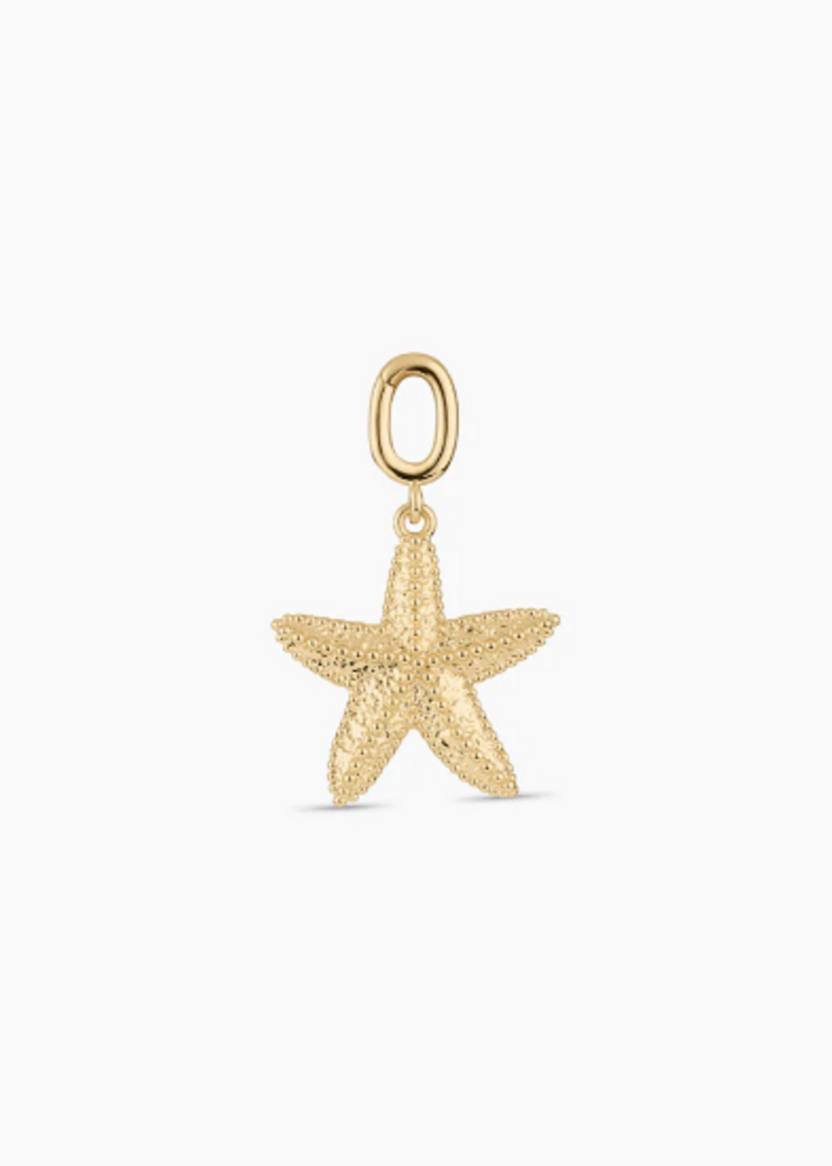 Parker Charm