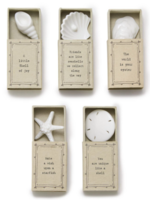 Shell in Matchbox