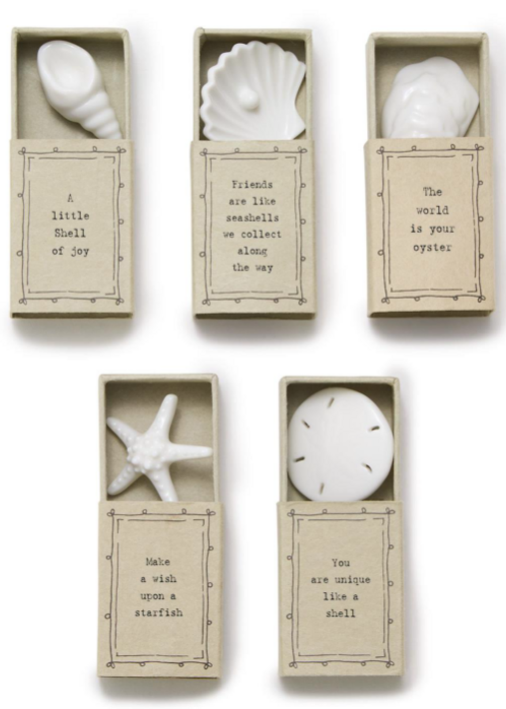 Shell in Matchbox