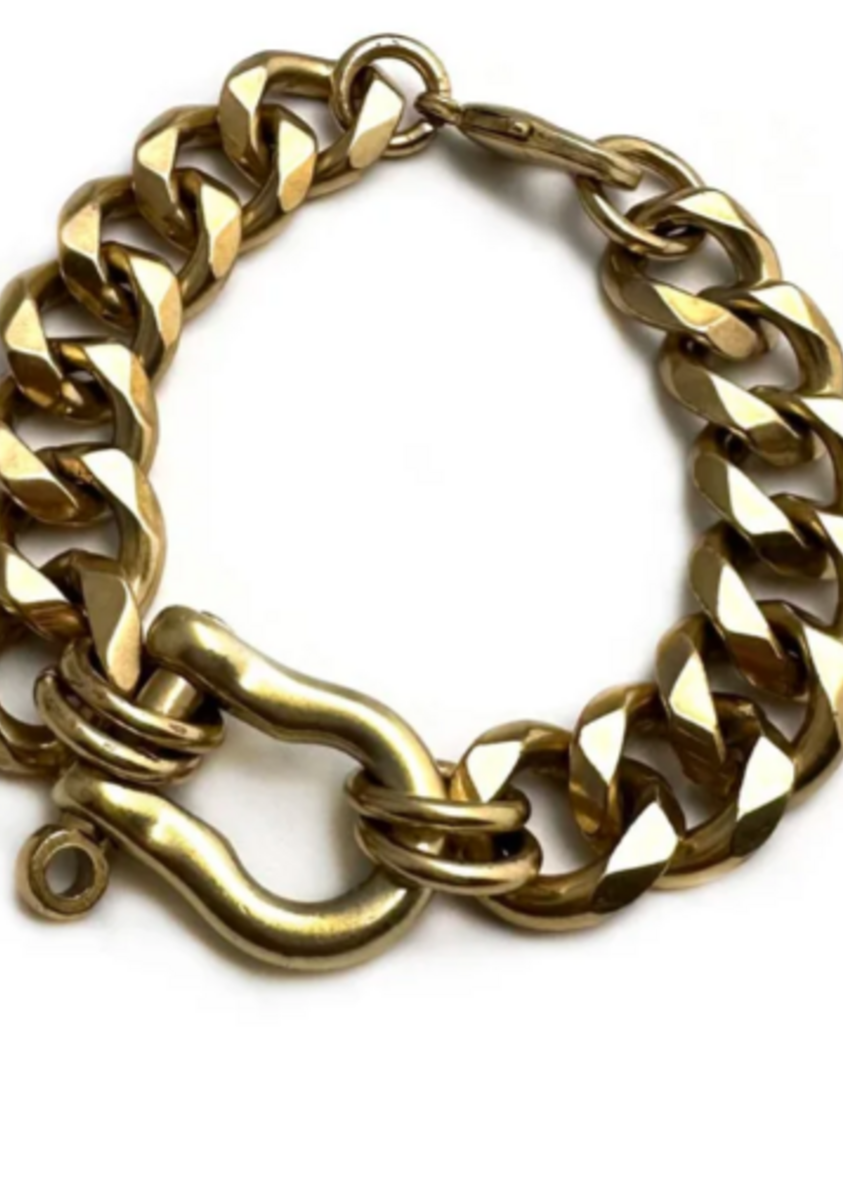 Shackle Chain Bracelet