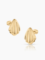Lina Shell Earrings